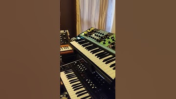 Moog Matriarch love #electronicmusic #synth #sounddesign #synthesizer #beatmaking