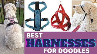 Best Harnesses for Doodles Recommended by Doodle Owners and Trainers (With Personal Reviews!)