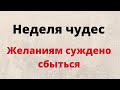 Неделя чудес. Желания ваши исполнятся.