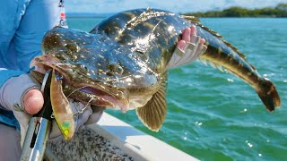 Finding which colour lure works best for Flathead