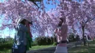 TRIO KWEK-KWEK movie 2