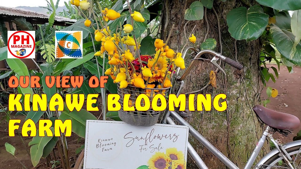 KINAWE BLOOMING FARM in Libona, Bukidnon