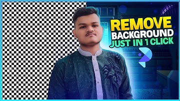 Remove Background Just In 1 Click By Using AceThinker PicWish Software