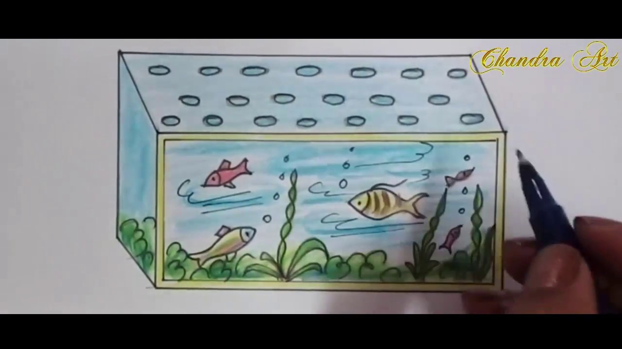 aquarium drawing - how to draw aquarium for kids step by step - YouTube