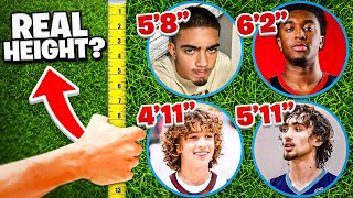 HOW TALL ARE YOUR FAVORITE YOUTUBERS?! (Feat. Nelson Neumann, LegitTim, Jdub & More)