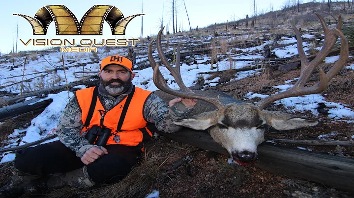 MONSTER Colorado Mule Deer with Aaron Neilson