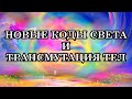 НОВЫЕ КОДЫ СВЕТА И ТРАНСМУТАЦИЯ ТЕЛ. Как принять эти энергии с наибольшей пользой для себя?