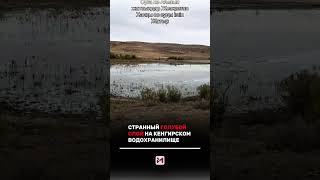 В сети появилось видео, снятое на Кенгирском водохранилище под Жезказганом. #Жезказган #Кенгирское