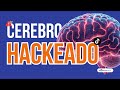 ¿Por qué tu cerebro ya NO PUEDE concentrarse? ¡Y cómo los algoritmos lo 'hackearon'!