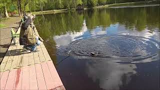 Небольшой обзор с нижнего водоёма и спорт-зоны. Клёвое место. Лосиный остров.