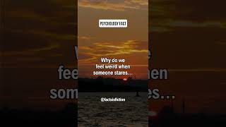 Download Lagu Why do we feel weird when someone stares? #shorts MP3