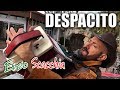 DESPACITO (Enzo Scacchia CAMPIONE DEL MONDO DI ORGANETTO) Luis Fonsi - Despacito ft. Daddy Yankee