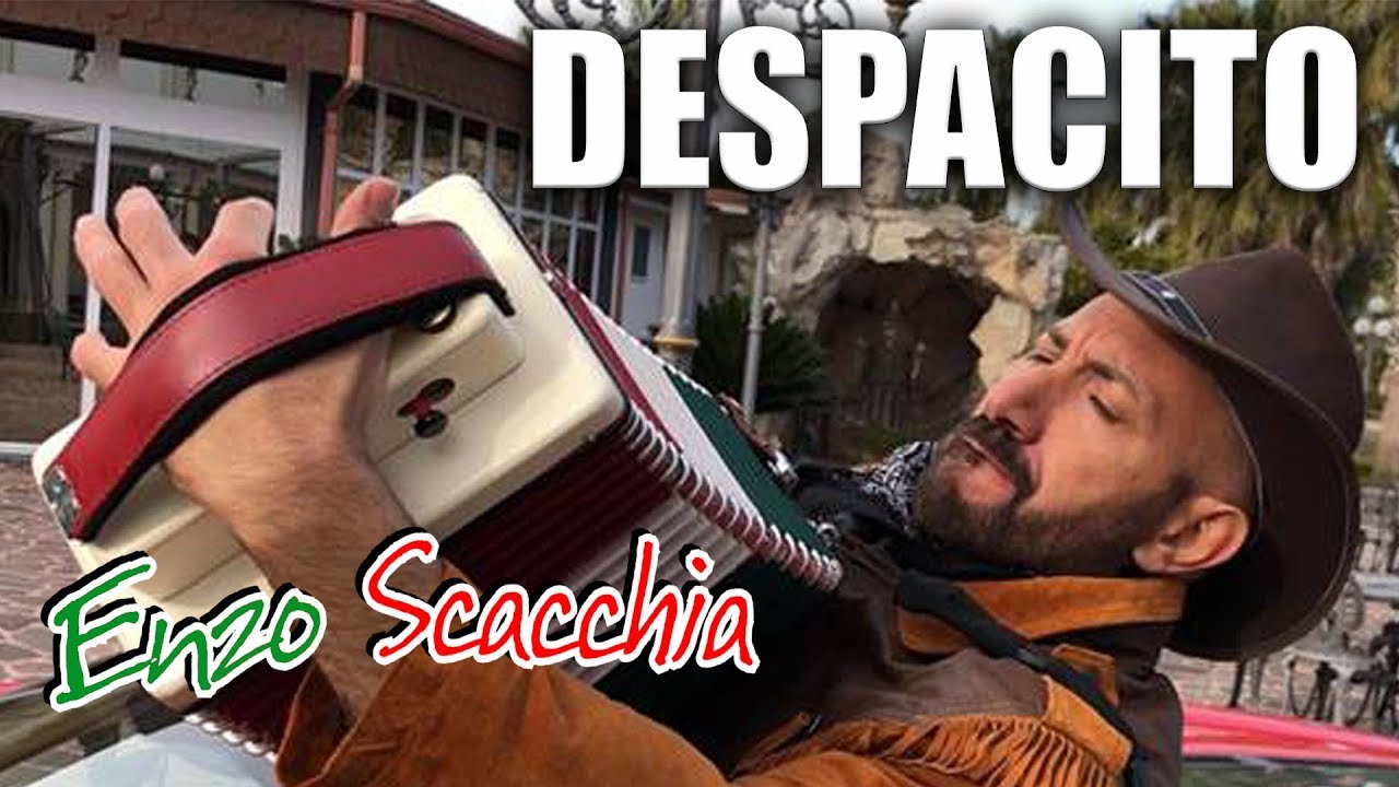 DESPACITO (Enzo Scacchia CAMPIONE DEL MONDO DI ORGANETTO) Luis Fonsi - Despacito ft. Daddy Yankee