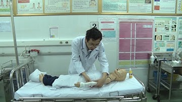Phóng Sự Việt Nam: Rắn cắn và biện pháp sơ cứu đúng cách