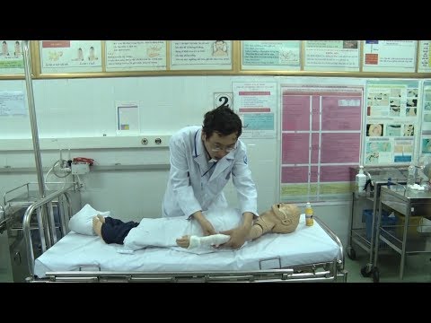 Phóng Sự Việt Nam: Rắn cắn và biện pháp sơ cứu đúng cách
