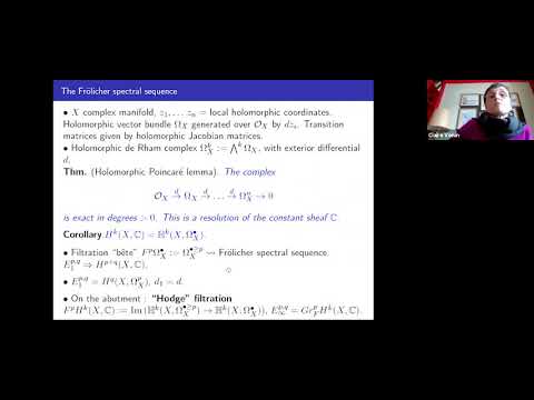 Claire Voisin | Hodge structures and the topology of algebraic varieties