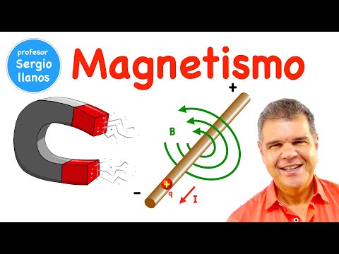 MAGNETISMO ¡Descubre el