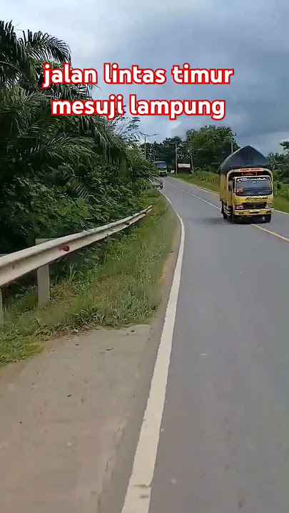 jalan lintas timur mesuji lampung jalan menuju simpang pematang. #jalanlintastimur #lampung #mesuji