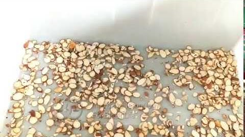 Almond Peanut Slice Cutting Machine|Dry Fruit Slicer Machine Video