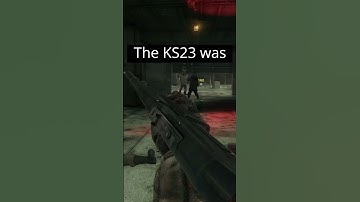 the most OVERKILL weapon... #shorts #videogamelogic #videogames #gaming #cod #callofduty #codmw