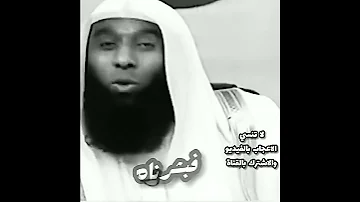حالات واتساب بدر المشاري عن شفاعة النبي يوم القيامة فيديو مؤثر 