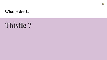 Thistle color #d8bfd8 hex color - Violet color - Cool color d8bfd8