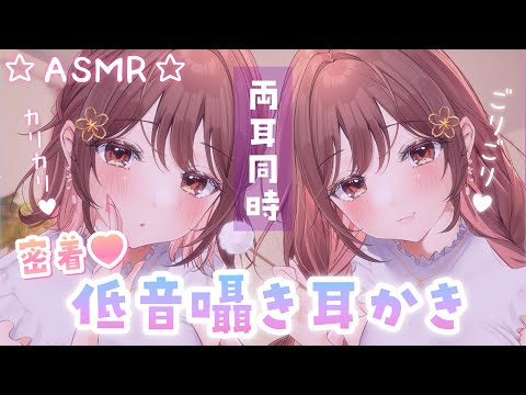 【ASMR】ぞくぞくごりごりっ…💜両耳からの低音囁き耳かき[Cleaning the ears while whispering in a low voice(both ears)]