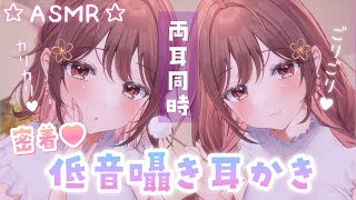 【ASMR】ぞくぞくごりごりっ…💜両耳からの低音囁き耳かき[Cleaning the ears while whispering in a low voice(both ears)]