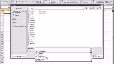 Excel2007 DBF importieren