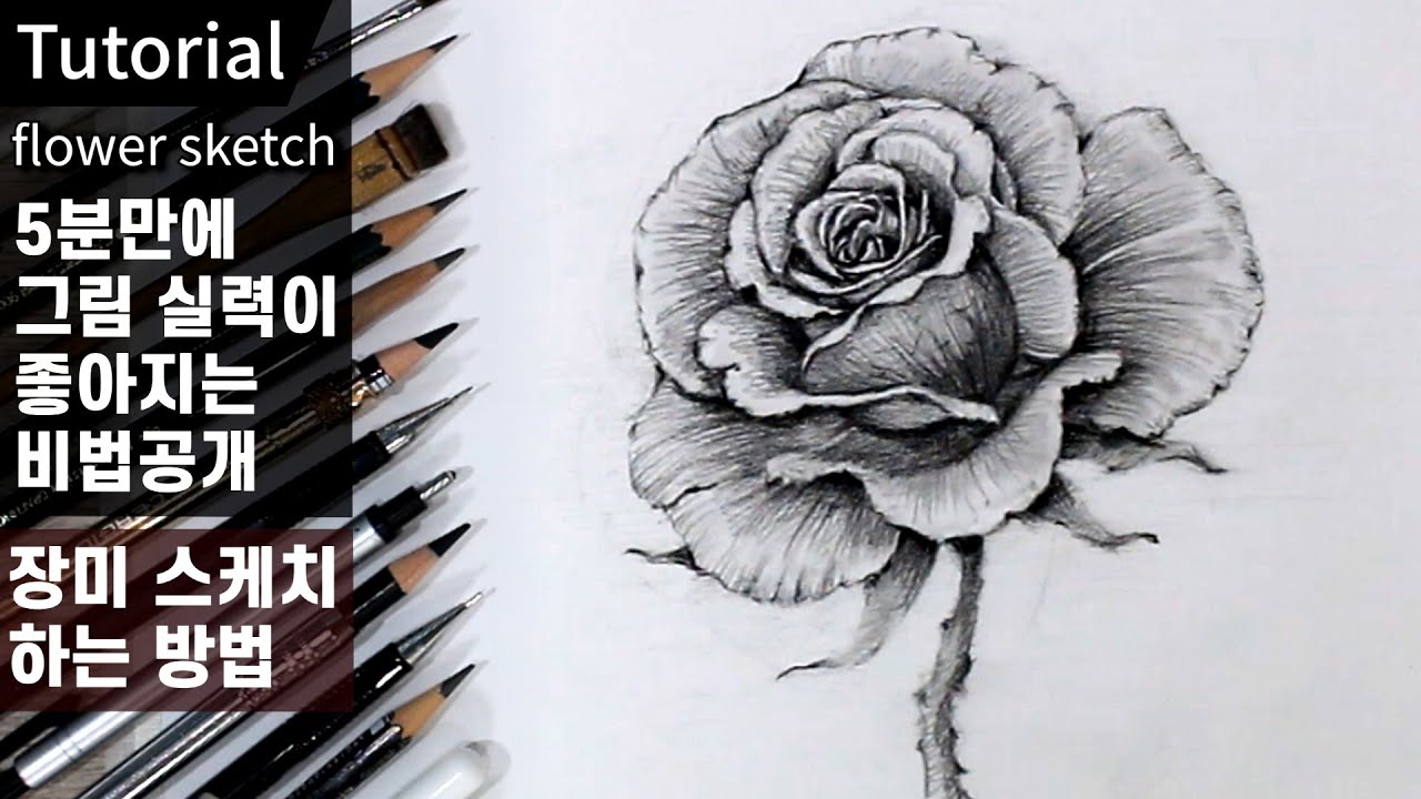 5분만에 스케치 실력이 좋아지는 법 / 꽃 스케치 쉽게 하는 3가지 비법 공개 / 그림 기초강의 / 연필스케치, 장미 스케치, 연필소묘, 드로잉