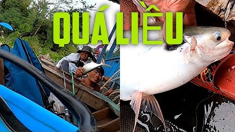 LIỀU MẠNG LẶN SÔNG TIỀN BẮT CÁ VỒ ĐÉM QUÁ NGUY HIỂM ( tập 18 )