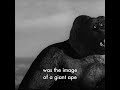 Did You Know This About "King Kong?" #movietrivia #moviefacts