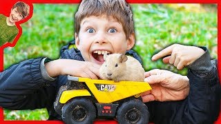 Dump Trucks Haul Axel And Daddys New Pet
