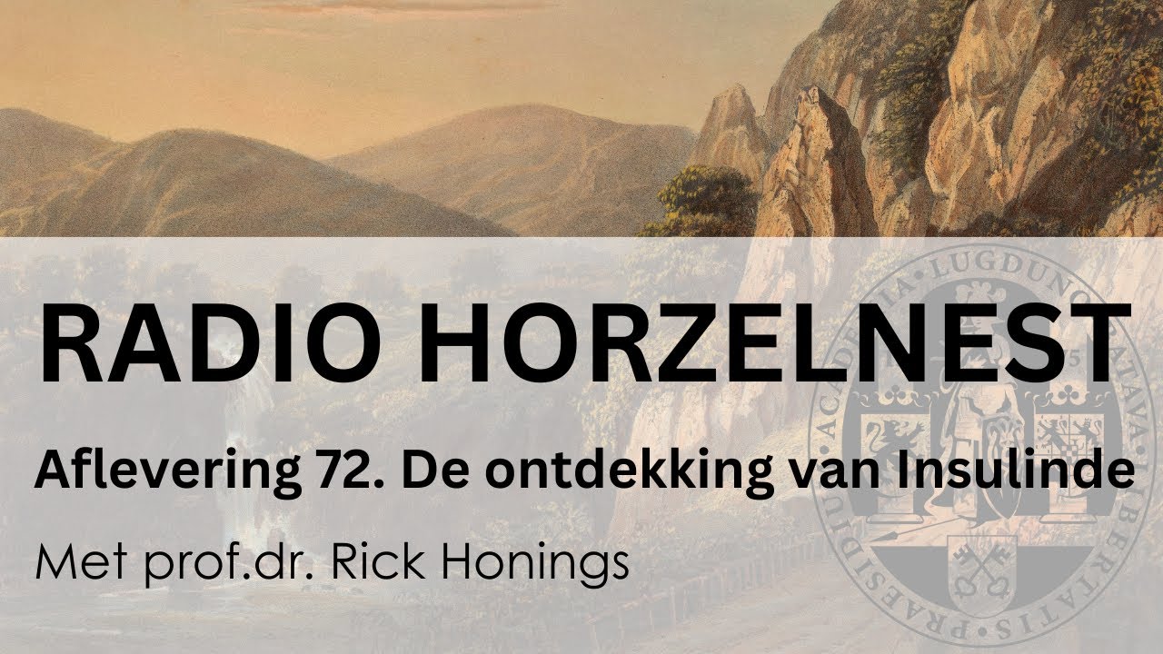 Radio Horzelnest - Aflevering 72: De ontdekking van Insulinde - YouTube