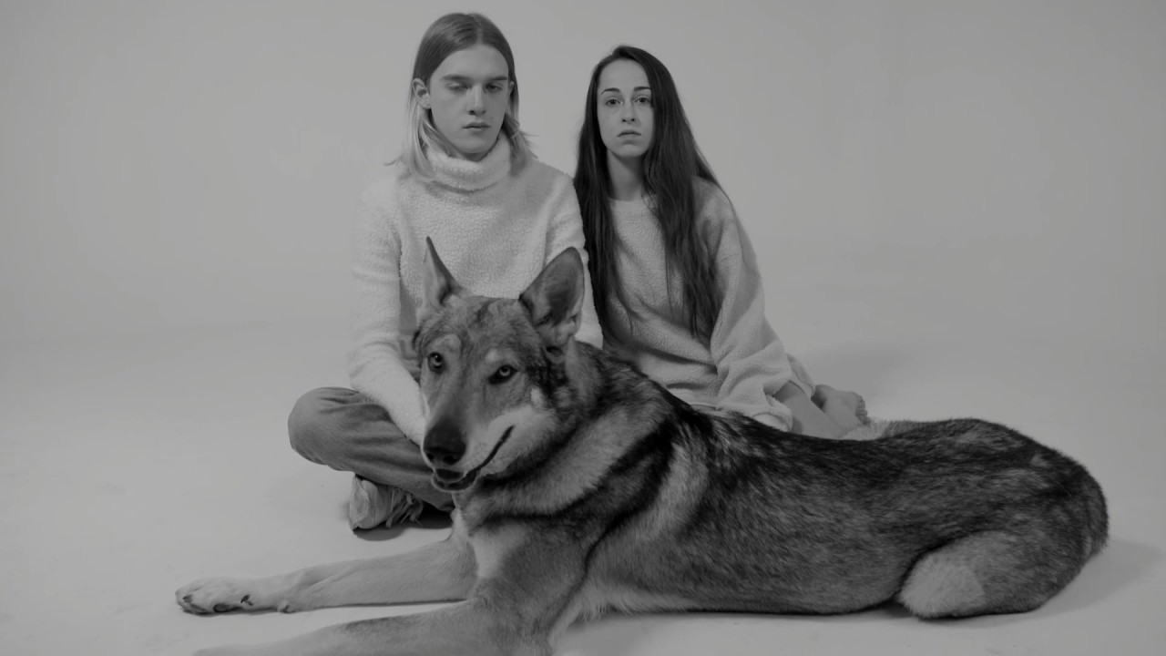 NINE STORIES - Low Sun (official video)