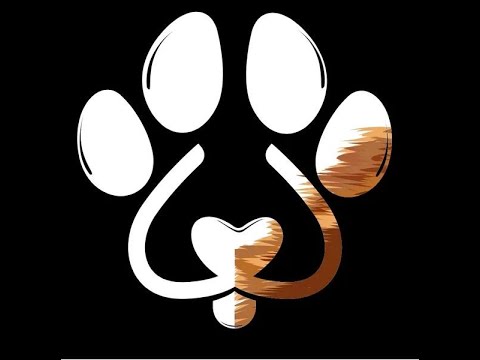 Pupspotter: Your Path to Finding the Perfect Canine Companion. Part 1