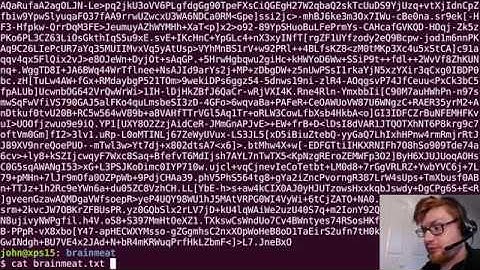 SunshineCTF 2019 | Brainmeat (Esoteric Languages)