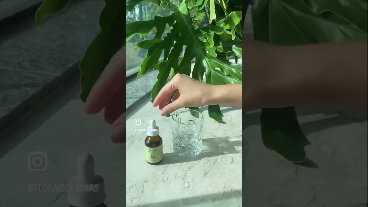 Como tomar florais? 😃 É bem simples! Dilua 20 gotas do seu floral em água e tome 4 vezes ao dia!
