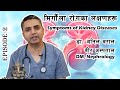 मृगौला रोगका लक्षणहरू | Symptoms of Kidney Diseases explained in Nepali | Dr Anil Baral | Episode 2