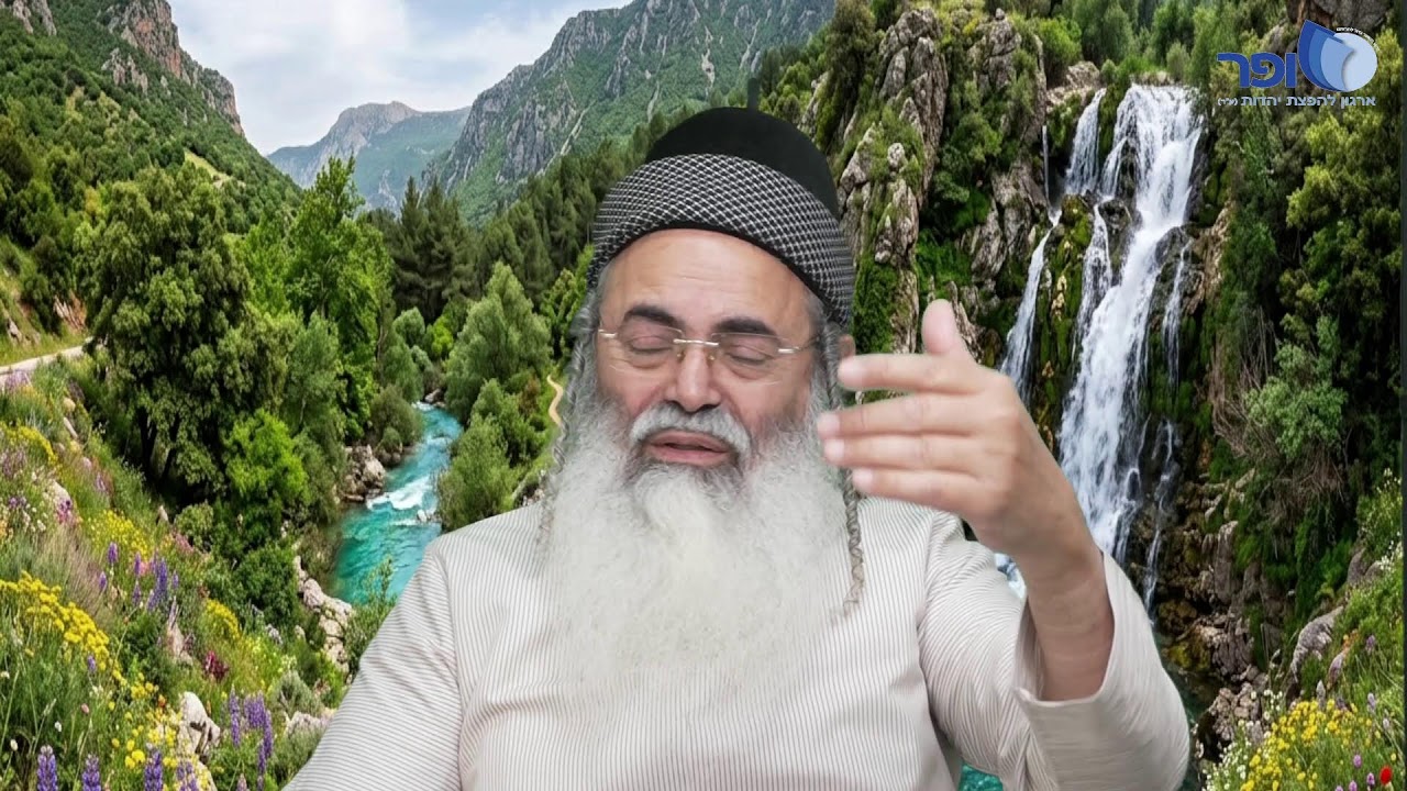 פרפראות וחדושים לימי פורים תשפו - חלק ב'