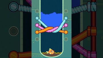Save the fish game pull the pin fish rescue mobile game walkthrough// fish game 7203