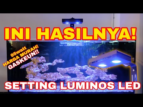 BEGINI HASIL YANG SEBENARNYA! TUTORIAL SETTING LUMINOS CREE LED