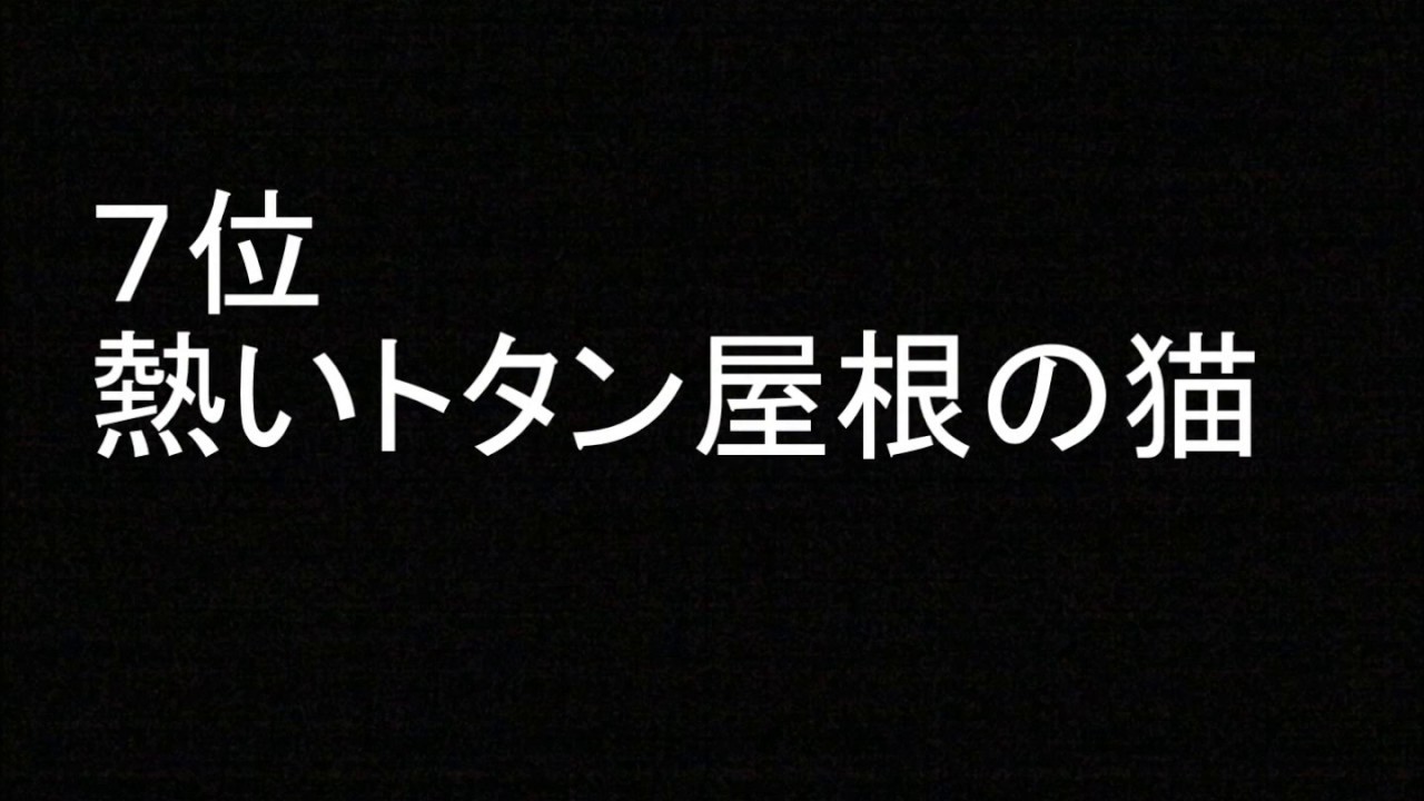 「ポール・ニューマン」 出演映画ベスト ランキング