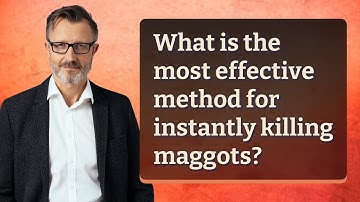 What is the most effective method for instantly killing maggots?