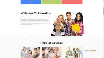 LearnPro - Online Course Education WordPress Theme      Ayden Dederic