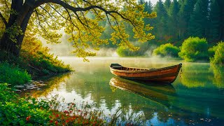 картинка: Классическая музыка согревает сердца пожилых людей - Моцарт, Бетховен, Шопен, Чайковский,Россини,Бах