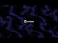 19 Year Old Vibe Coding