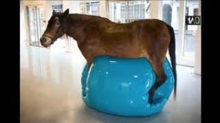 Terlalu Pintar! Inilah 60 Foto yang Akan Membuat kita Bingung MAQ #maq #fypシ #indonesia #animasi #fy