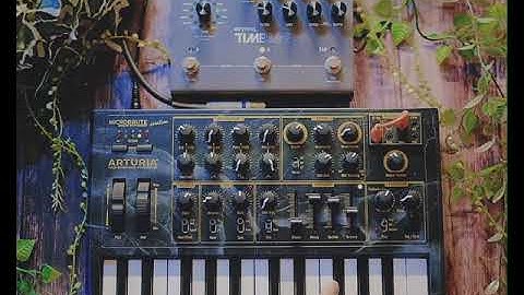 Arturia MicroBrute Ambient with Strymon TimeLine