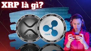 Xrp Coin Là Gì? Lợi Ích, Ưu Điểm Và Ứng Dụng Của Đồng Xrp Hiện Tại